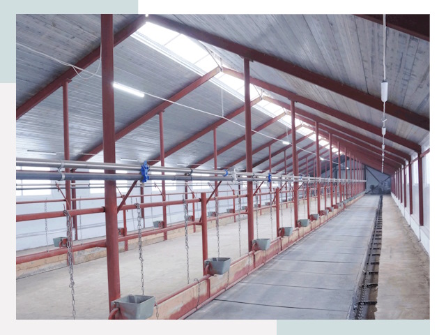 Строительство коровников в Белой Калитве от 622 руб.