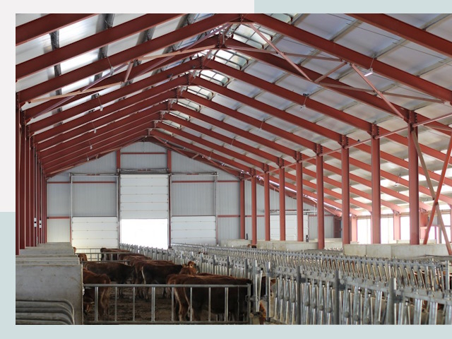 Строительство коровников в Белой Калитве